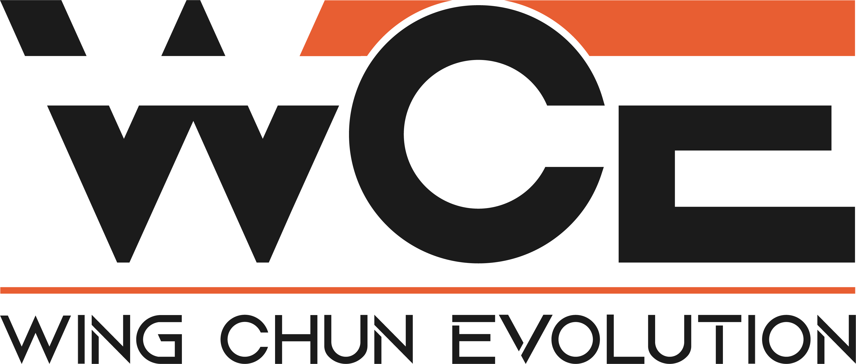 WCE