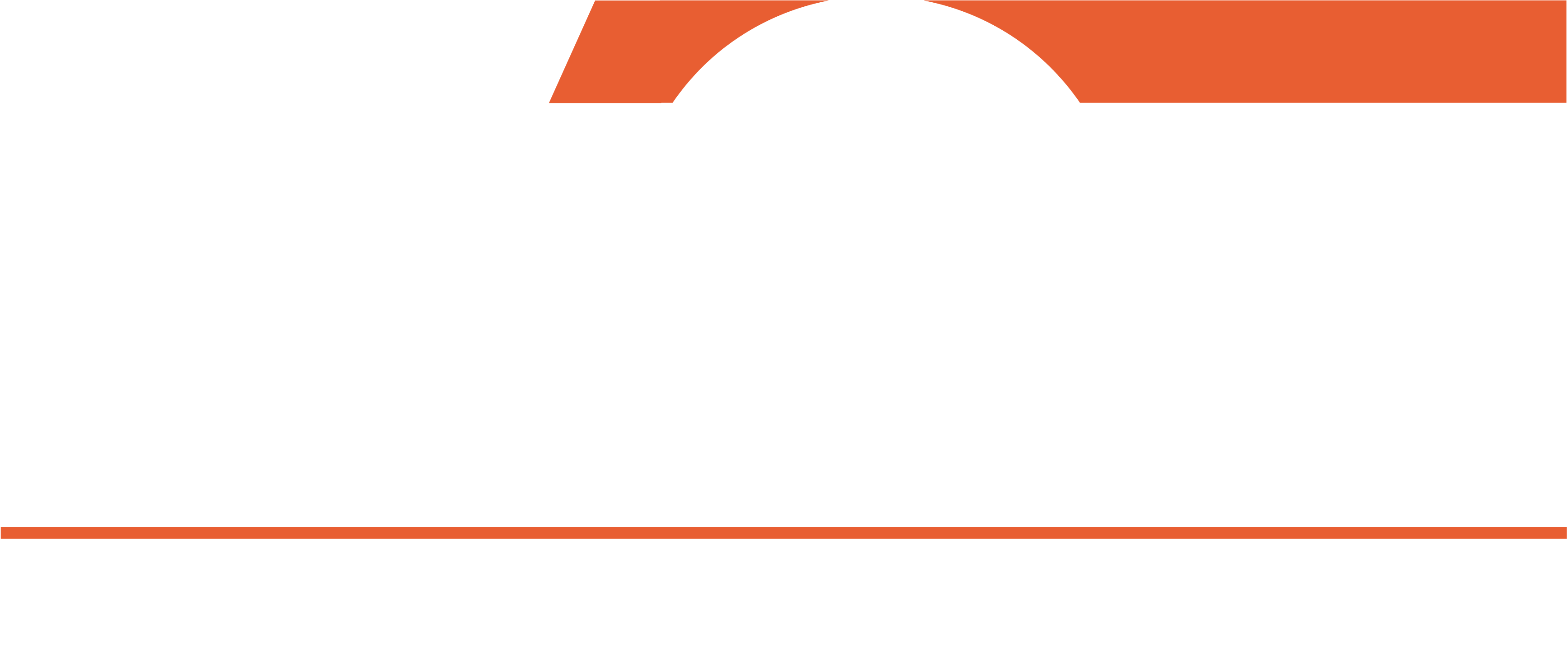 WCE - Wing Chun Evolution